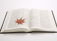 走出，当旅途成为生命的旋律